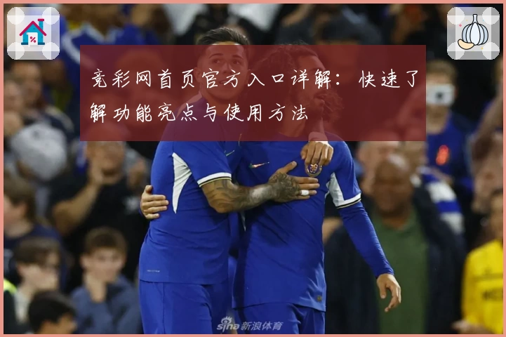 竞彩网首页官方入口详解：快速了解功能亮点与使用方法
